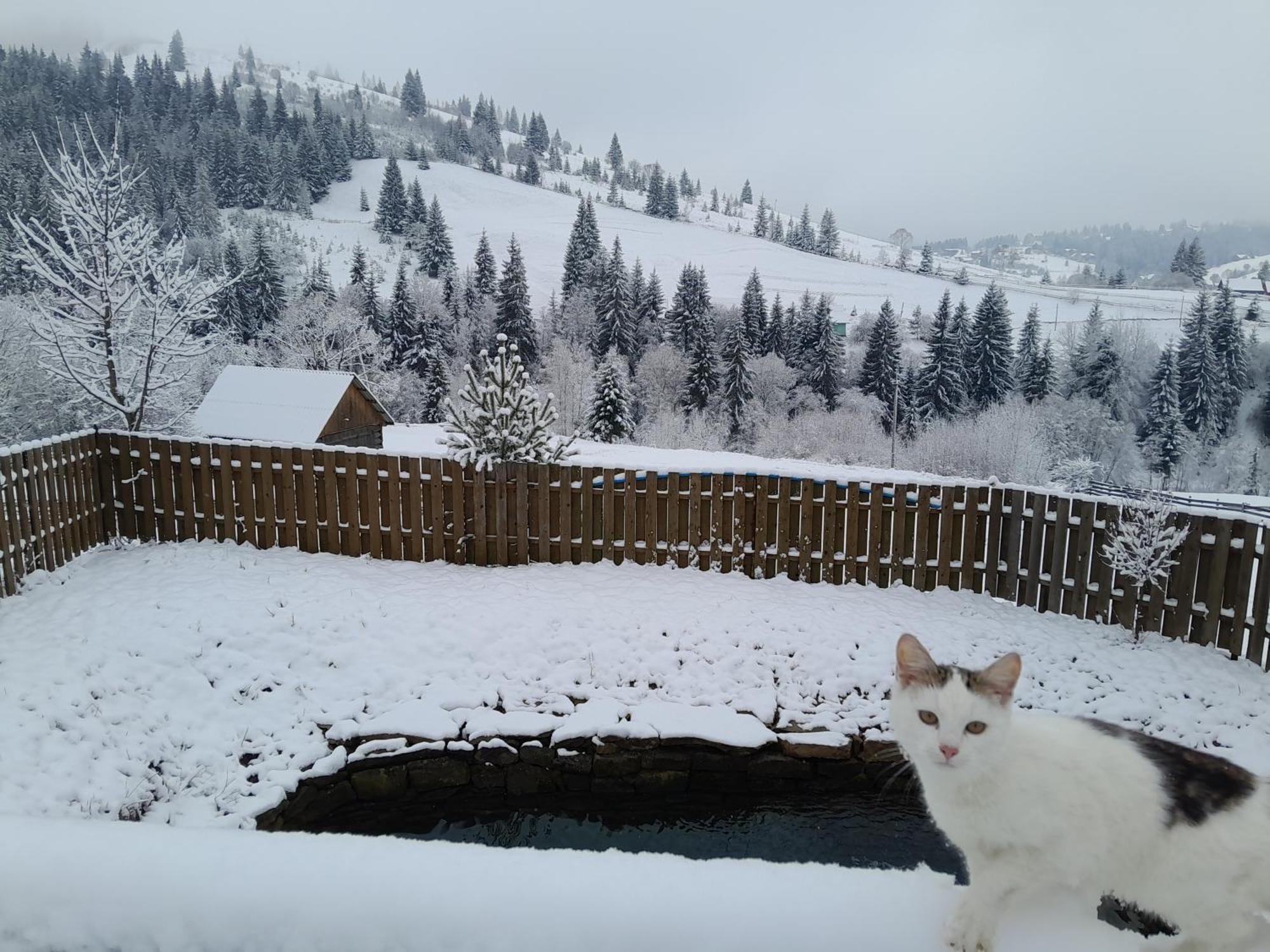 Villa Filiak 야블루니츠야 외부 사진
